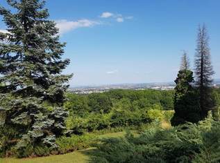 Seltene Gelegenheit: Winzerhaus auf uneinsehbarem Grundstück | ZELLMANN IMMOBILIEN, 550000 €, Immobilien-Grund und Boden in 2380 Gemeinde Perchtoldsdorf