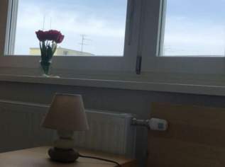 WG Zimmmer im 3ten schöne gepflegte wohnung, 480 €, Immobilien-Wohnungen in 1030 Landstraße