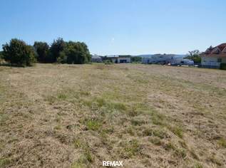 Baugrund, 185000 €, Immobilien-Grund und Boden in 2451 Hof am Leithaberge Baugrund, 185000 €, Immobilien-Grund und Boden in 2451 Hof am Leithaberge