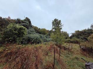 Bauland Agrar - Investoren aufgepasst!, 170000 €, Immobilien-Grund und Boden in 3124 Unterwölbling Bauland Agrar - Investoren aufgepasst!, 170000 €, Immobilien-Grund und Boden in 3124 Unterwölbling