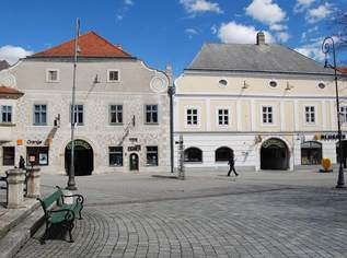 Schöne Mietwohnung in der Hauptplatzpassage in Neunkirchen!, 650 €, Immobilien-Wohnungen in 2620 Gemeinde Neunkirchen