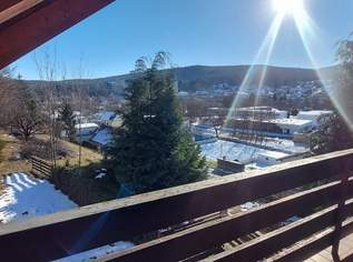 Fernblick 3 Geschoße, über 200m² WNFL + 100m² Lager + 4300m² Eigengrund, 399000 €, Immobilien-Häuser in 7442 Lockenhaus