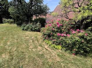 Wunderschönes Landhaus in Wiesen zu verkaufen (provisionsfrei)