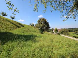 Sonniges Grundstück mit Aussicht, 89000 €, Immobilien-Grund und Boden in 8323 Krumegg