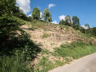 Großes sonniges Grundstück in Südhanglage, 299000 €, Immobilien-Grund und Boden in 4111 Walding