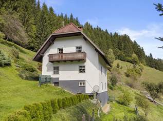 Kleinlandwirtschaft mit Wohnhaus und Wirtschaftsgebäude in Unterpreitenegg im Oberen Lavanttal, 350000 €, Immobilien-Häuser in 9451 Unterpreitenegg