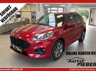 Ford Kuga 1,5 ECO Blue St Line* SHZ, Klima*, 19990 €, Auto & Fahrrad-Autos in 8280 Fürstenfeld Ford Kuga 1,5 ECO Blue St Line* SHZ, Klima*, 19990 €, Auto & Fahrrad-Autos in 8280 Fürstenfeld