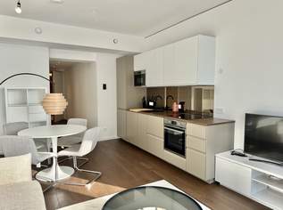 42. Etage! Möbliert - Doorman, Gym, Pool UND den schönsten Ausblick auf Kahlenberg, 2250 €, Immobilien-Wohnungen in 1220 Donaustadt