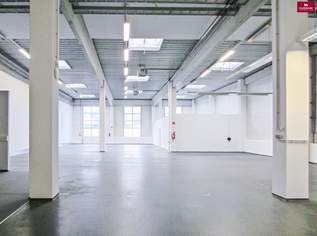Lagerhalle 224 m2 + Büro 341 m2 Kombination südlich von Wien, in Wr. Neudorf, 7550 €, Immobilien-Gewerbeobjekte in 2351 Gemeinde Wiener Neudorf
