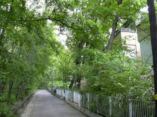 Wohnen beim Wilhelminenberg, 380000 €, Immobilien-Wohnungen in 1160 Ottakring