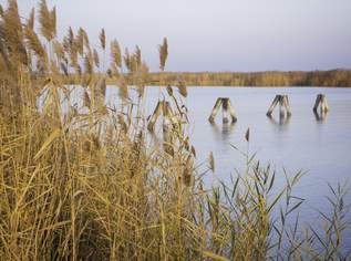 "The Lagoon" - Modern - Nachhaltig - Elegant, 630000 €, Immobilien-Wohnungen in 7071 Rust