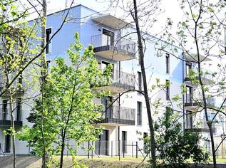 Provisionsfreie 2-Zimmer-Wohnung mit großem Süd-Balkon im Erstbezug, 288000 €, Immobilien-Wohnungen in Niederösterreich
