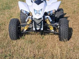 Explorer Trasher 320 Quad, 1850 €, Auto & Fahrrad-Motorräder in 3205 Gemeinde Weinburg