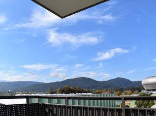 Top 4-ZI Dachgeschosswohnung mit großer Terrasse Top 4-ZI Dachgeschosswohnung mit großer Terrasse