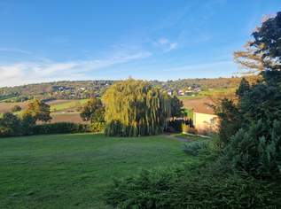 EIN TRAUM WIRD REALITÄT: AUSSERGEWÖHNLICHES BAUGRUNDSTÜCK IN HAGENBRUNN MIT FREIEM AUSBLICK IN TOLLER, RUHIGER WOHNLAGE, 800250 €, Immobilien-Grund und Boden in 2102 Flandorf EIN TRAUM WIRD REALITÄT: AUSSERGEWÖHNLICHES BAUGRUNDSTÜCK IN HAGENBRUNN MIT FREIEM AUSBLICK IN TOLLER, RUHIGER WOHNLAGE, 800250 €, Immobilien-Grund und Boden in 2102 Flandorf