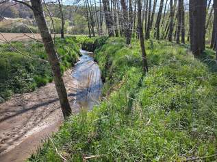 Kleingarten zu kaufen am Bach, 8250 €, Immobilien-Grund und Boden in 8082 Kirchbach-Zerlach