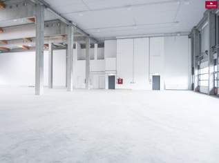 Lagerhalle 750 m2 südlich von Wien, in Wr. Neudorf, 7200 €, Immobilien-Gewerbeobjekte in 1230 Liesing