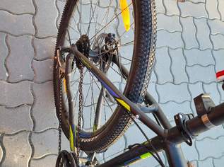 genesis impact 3.8 mountainbike 29