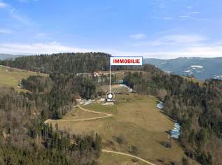 Herrliches Anwesen in traumhafter Alleinlage: Landwirtschaft mit modernem Wohnhaus, 945000 €, Immobilien-Gewerbeobjekte in 9473 Lavamünd