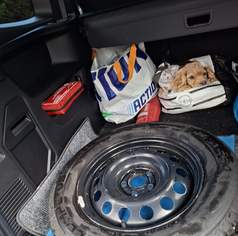 Winterreifen, 250 €, Auto & Fahrrad-Teile & Zubehör in 4174 Niederwaldkirchen