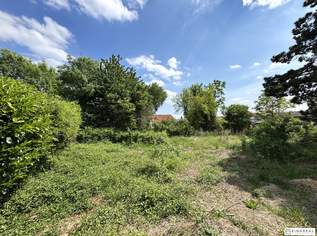 Zwei unbebaute Grundstücke | zusammen ca. 1.201 m² | Bauland Wohngebiet – maximal 2 Wohneinheiten pro GS | im Herzen von Leopoldsdorf - unweit der Hauptstraße, 1195000 €, Immobilien-Grund und Boden in 2333 Gemeinde Leopoldsdorf