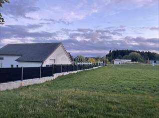 Ankommen im Waldviertel: 773 m² Baugrund in Pallweis um 25.509 €!, 25509 €, Immobilien-Grund und Boden in 3522 Pallweis Ankommen im Waldviertel: 773 m² Baugrund in Pallweis um 25.509 €!, 25509 €, Immobilien-Grund und Boden in 3522 Pallweis