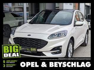 Kuga 25 Duratec PHEV ST-Line, 24990 €, Auto & Fahrrad-Autos in 1190 Döbling