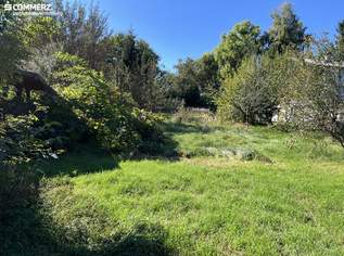 Grünblick in Pettenbach, 105000 €, Immobilien-Grund und Boden in 4643 Pettenbach