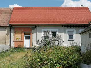 Vom hässlichen Entlein zum schönen Schwan!, 179000 €, Immobilien-Häuser in 2152 Zwentendorf