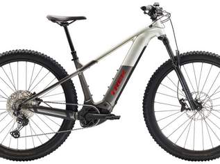 Trek Powerfly+ 6 EU L 29 Lunar Silver/Mercury