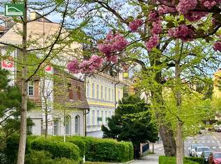 Schöne 2 Zimmer-Wohnung am Fuße der Hohen Warte! Neben dem Setagayapark! Gutes Preis-Leistungs-Verhältnis! Gute Anbindung ins Stadtzentrum! Saniertes Altbau-Zinshaus!, 270000.1 €, Immobilien-Wohnungen in 1190 Döbling