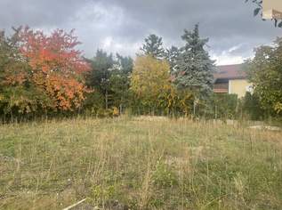 Baugrundstück in Kottingbrunn, 299000 €, Immobilien-Grund und Boden in 2542 Kottingbrunn Baugrundstück in Kottingbrunn, 299000 €, Immobilien-Grund und Boden in 2542 Kottingbrunn