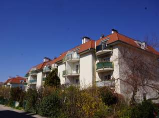 Baden - Schicke kleine Mietwohnung mit Balkon und Parkplatz, 693.06 €, Immobilien-Wohnungen in 2500 Gemeinde Baden