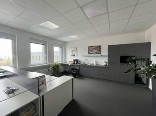 Gewerbepark Traiskirchen! 155 m² Büro mit Weitblick! Ab sofort unter € 10/m² inkl. allg BK!, 1534.5 €, Immobilien-Gewerbeobjekte in 2514 Katastralgemeinde Traiskirchen