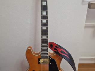 gitarre elektro/akustik gitarre elektro/akustik