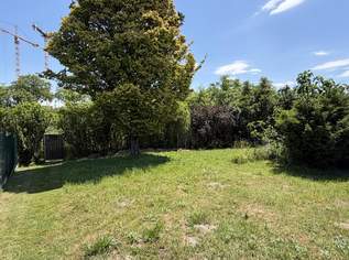 "Unbebautes Kleingartengrundstück direkt am oberen Mühlwasser", 449000 €, Immobilien-Grund und Boden in 1220 Donaustadt