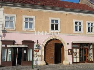 EHEMALIGES WINZERHAUS IM ZENTRUM VON LANGENLOIS, 830000 €, Immobilien-Häuser in 3550 Gemeinde Langenlois