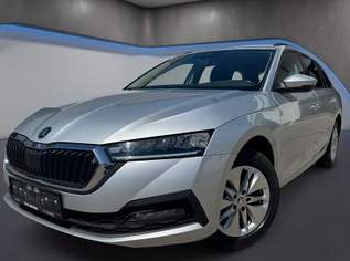 Octavia Combi 2,0 TDI 4x4 DSG *ERSTBESITZ*Tempomat*, 16990 €, Auto & Fahrrad-Autos in Niederösterreich Octavia Combi 2,0 TDI 4x4 DSG *ERSTBESITZ*Tempomat*, 16990 €, Auto & Fahrrad-Autos in Niederösterreich