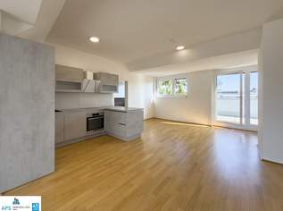 TRAUMLAGE mit BLICK AUF DIE ALTE DONAU - 3 Terrassen - Grünruhelage an der U1, 590000 €, Immobilien-Wohnungen in 1220 Donaustadt