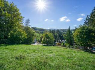 Außergewöhnliche Grundstückskombination: Sonniger Bauplatz mit 4,1 ha Grünland in Rekawinkel, 390000 €, Immobilien-Grund und Boden in Niederösterreich