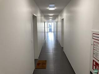 Attraktive 3-Zimmer Wohnung mit Balkon nahe U1 Kagraner Platz, 1399 €, Immobilien-Wohnungen in 1220 Donaustadt