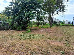 Großer, ebener Baugrund, bebaubar 0,2 - 0,4, 59900 €, Immobilien-Grund und Boden in 8263 Großwilfersdorf Großer, ebener Baugrund, bebaubar 0,2 - 0,4, 59900 €, Immobilien-Grund und Boden in 8263 Großwilfersdorf