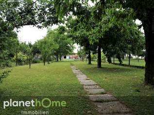 Ist es auch Ihr Traum, eigenes Obst und Gemüse zu ernten?, 370000 €, Immobilien-Häuser in 7053 Hornstein