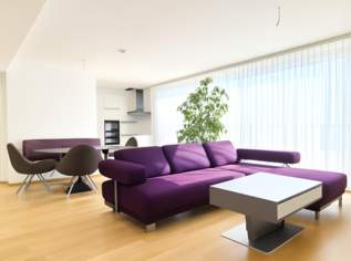 Topdachgeschosswohnung, voll möblierter Erstbezug in Aspern, 538000 €, Immobilien-Wohnungen in 1220 Donaustadt Topdachgeschosswohnung, voll möblierter Erstbezug in Aspern, 538000 €, Immobilien-Wohnungen in 1220 Donaustadt