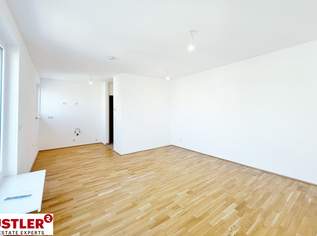 Ein Blick über die Dächer von Wien. 2 Zimmerwohnung mit Terrasse, 319900 €, Immobilien-Wohnungen in 1230 Liesing Ein Blick über die Dächer von Wien. 2 Zimmerwohnung mit Terrasse, 319900 €, Immobilien-Wohnungen in 1230 Liesing