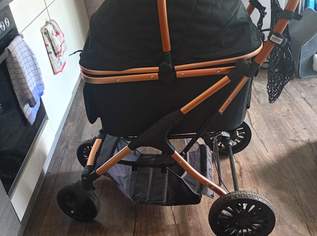 Hundewagen Hundewagen
