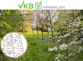 Großzügiges Grundstück guter Lage nähe Gallneukirchen! – Gemeinde Alberndorf in der Riedmark (GST 2438/3), 217000 €, Immobilien-Grund und Boden in 4211 Spattendorf