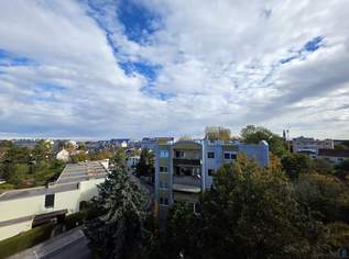 Helles Dachgeschoß in zentraler Lage!, 249900 €, Immobilien-Wohnungen in Niederösterreich