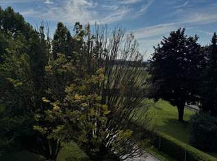 Jetzt zugreifen - Ihr neues Zuhause in Leonding!!, 0 €, Immobilien-Wohnungen in 4060 Leonding Jetzt zugreifen - Ihr neues Zuhause in Leonding!!, 0 €, Immobilien-Wohnungen in 4060 Leonding