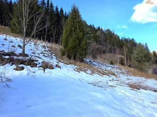 Natur, Ruhe und Aussicht – 2400 m² Baugrund am Semmering, 90000 €, Immobilien-Grund und Boden in 2680 Semmering - Kurort